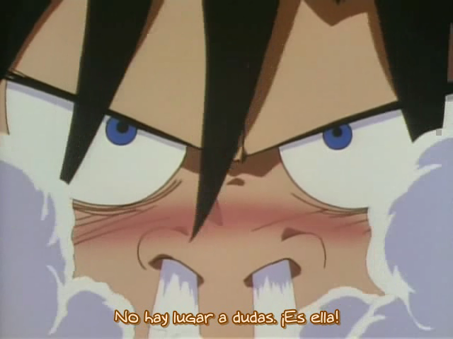 Iketeru Futari (Anime Tempest, EOL Fansub)